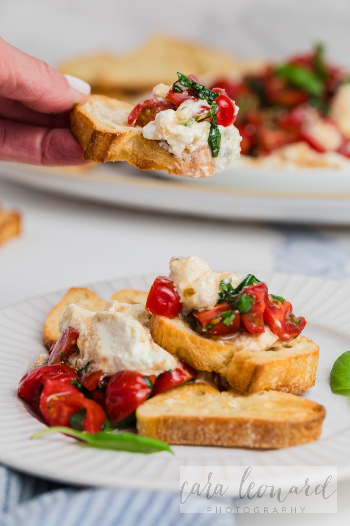 Bruschetta Dip with Whipped Feta **EXCLUSIVE** Recipe