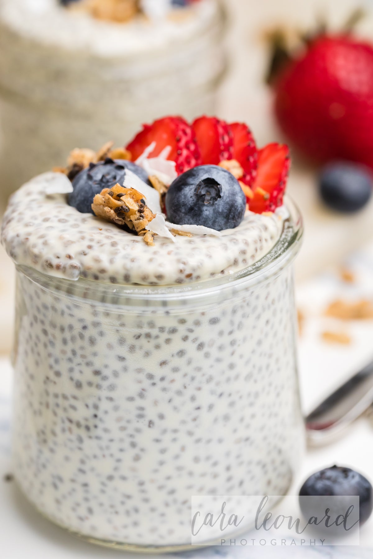 Chia Seed Pudding BUNDLE **EXCLUSIVE** Recipes