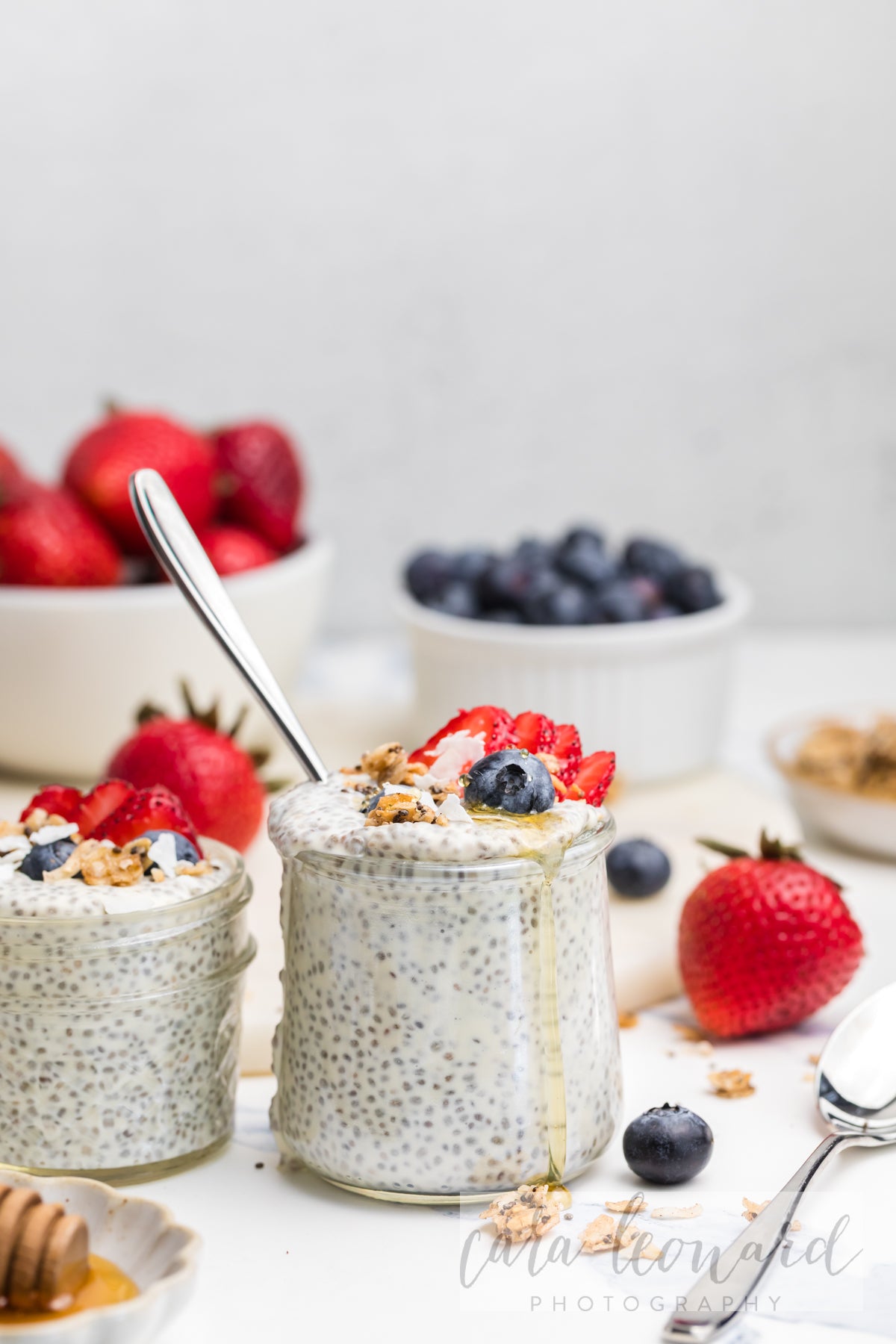 Chia Seed Pudding BUNDLE **EXCLUSIVE** Recipes