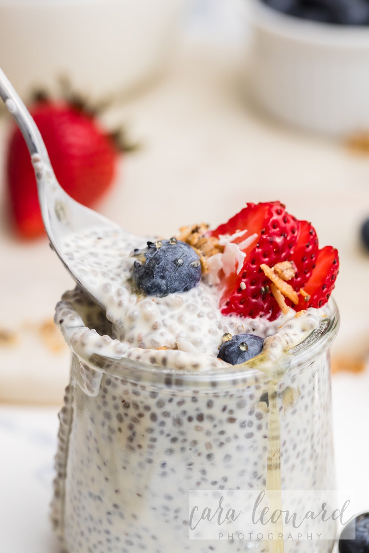Chia Seed Pudding BUNDLE **EXCLUSIVE** Recipes
