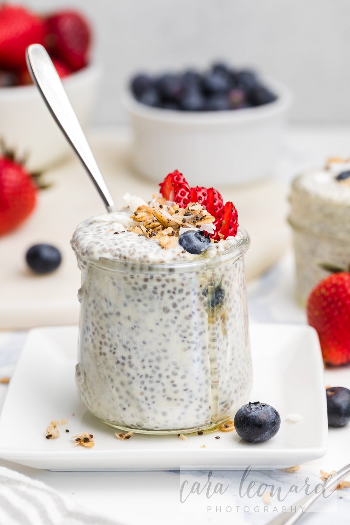 Chia Seed Pudding BUNDLE **EXCLUSIVE** Recipes
