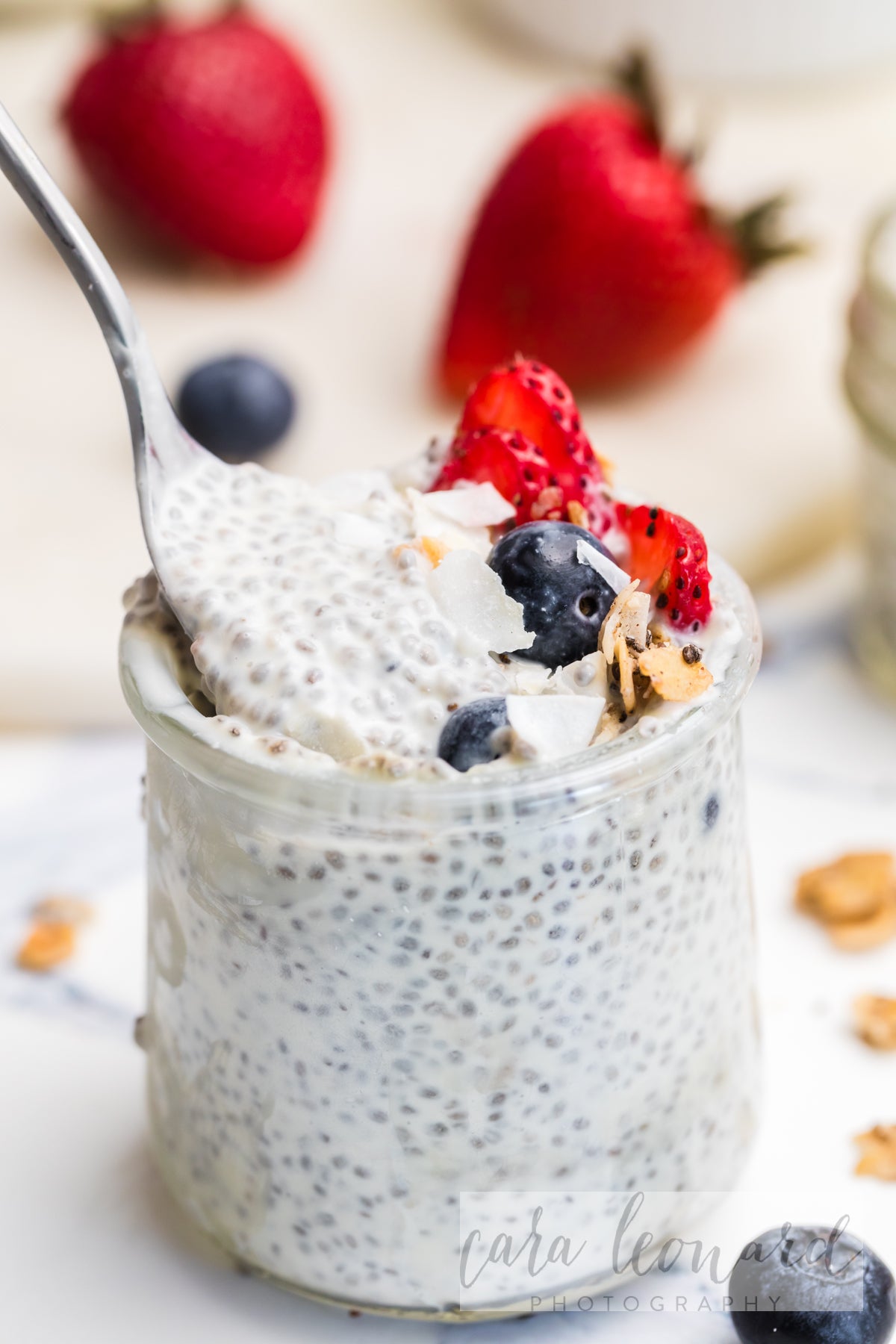 Chia Seed Pudding BUNDLE **EXCLUSIVE** Recipes
