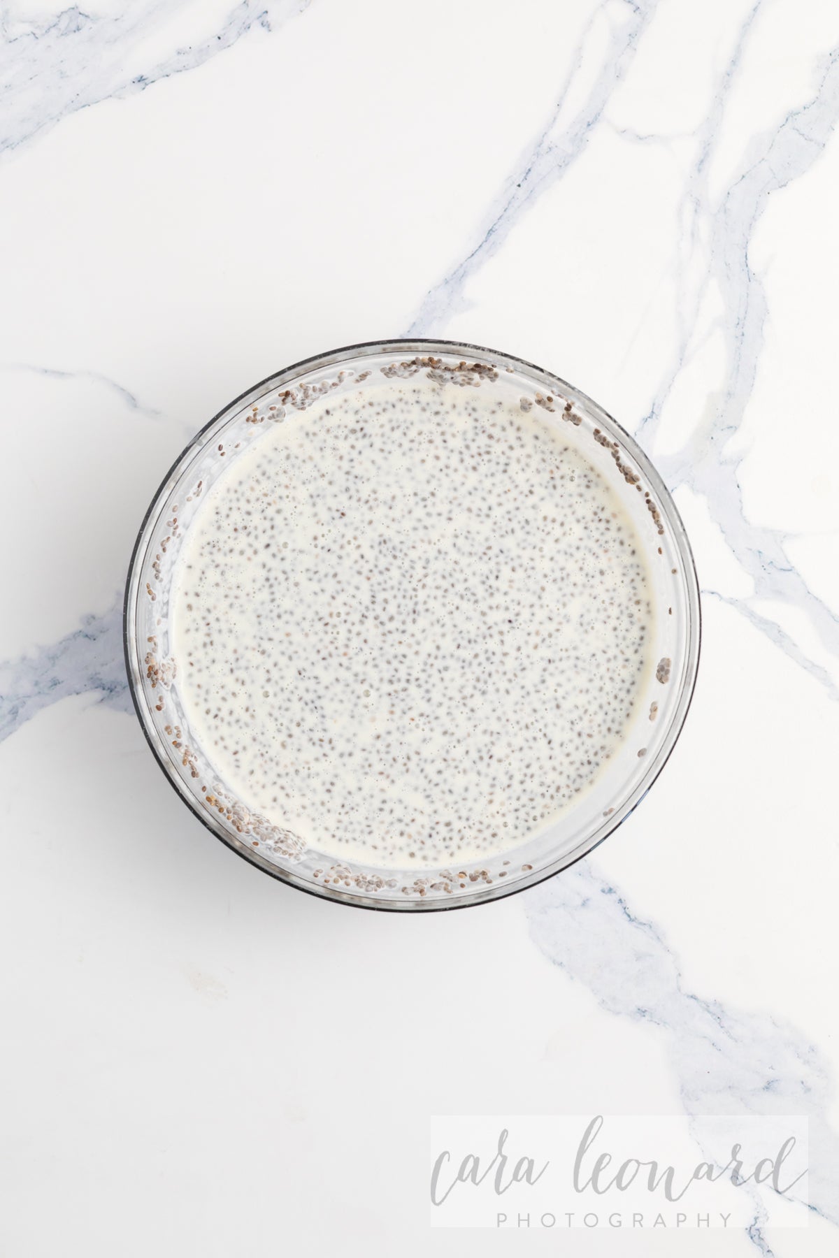 Chia Seed Pudding BUNDLE **EXCLUSIVE** Recipes