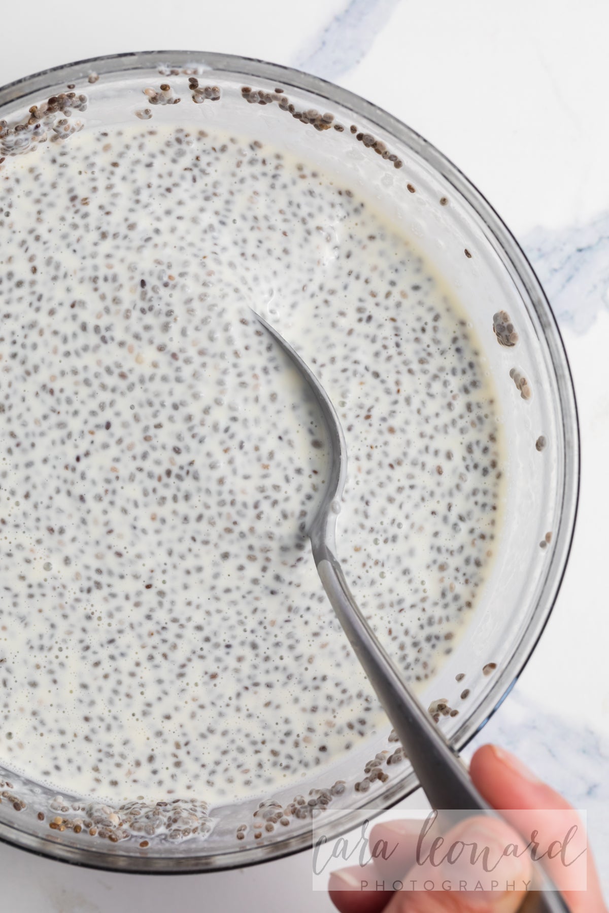 Chia Seed Pudding BUNDLE **EXCLUSIVE** Recipes