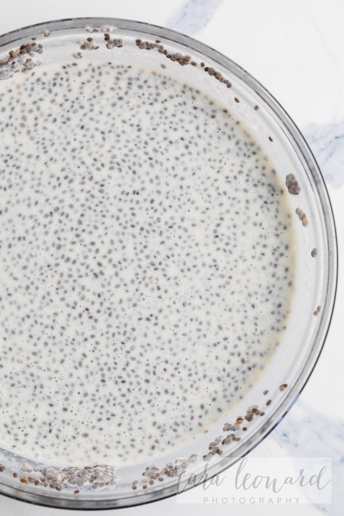 Chia Seed Pudding BUNDLE **EXCLUSIVE** Recipes