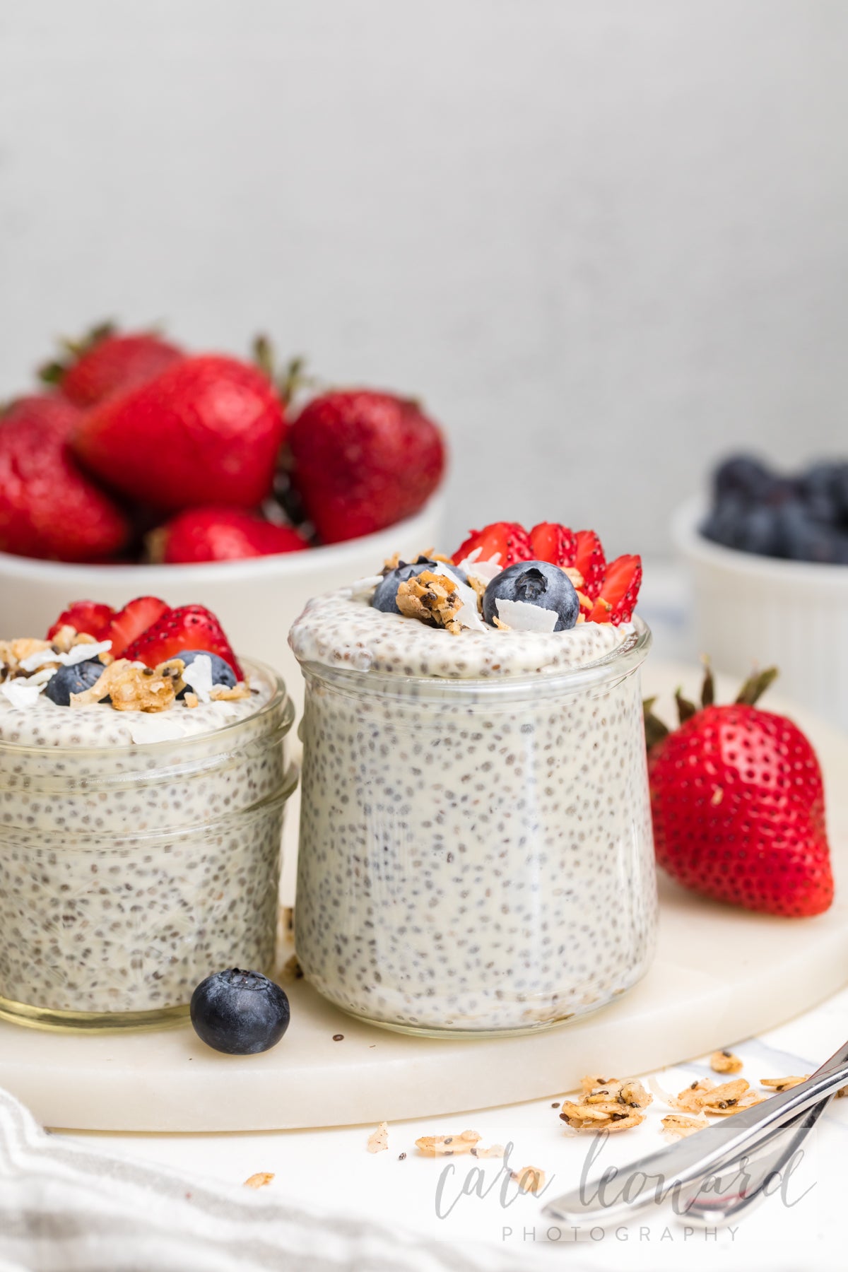 Chia Seed Pudding BUNDLE **EXCLUSIVE** Recipes